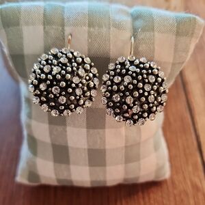 Elegant Black and Silver Earrings
